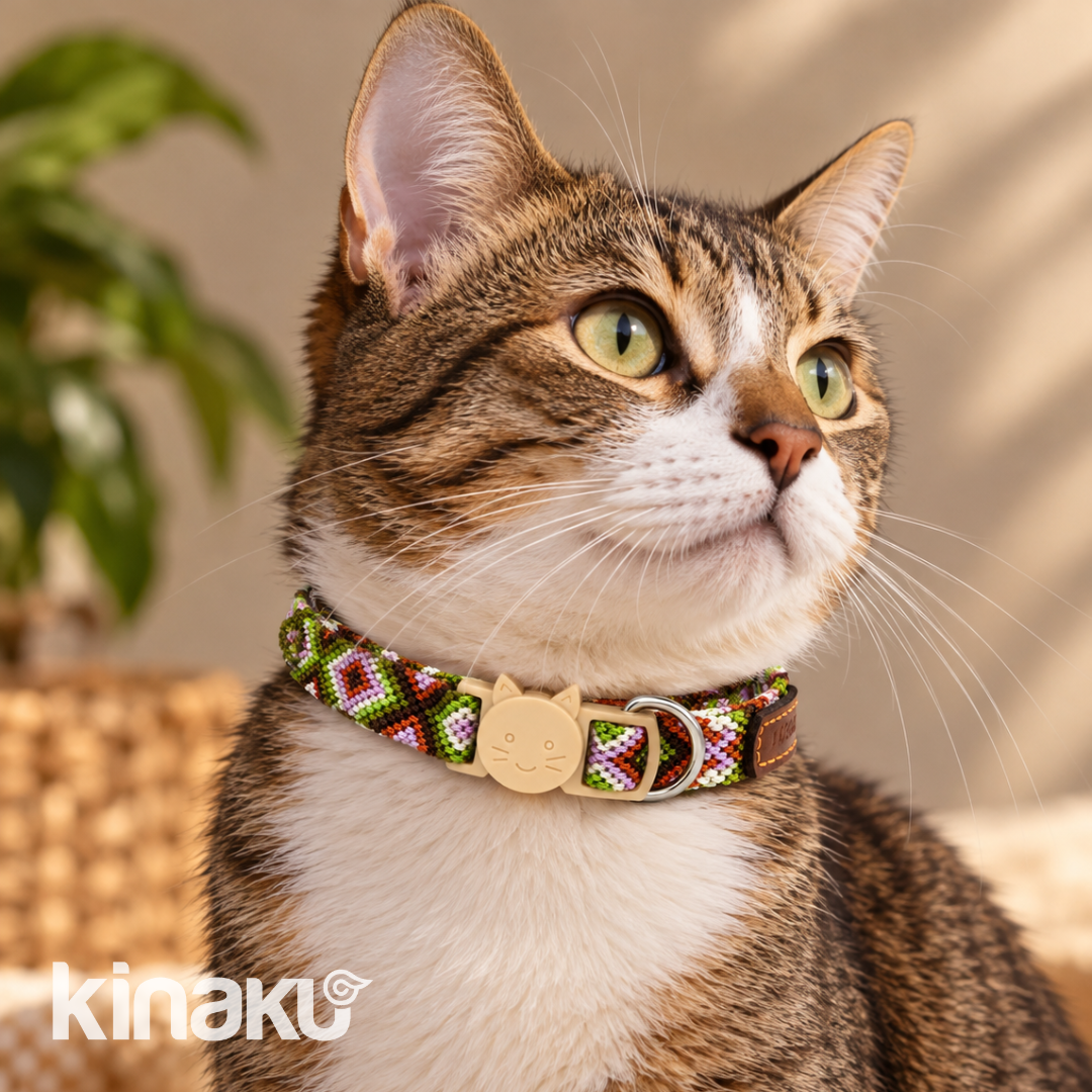 Cat collars ENCANTO FELINO - Image 4