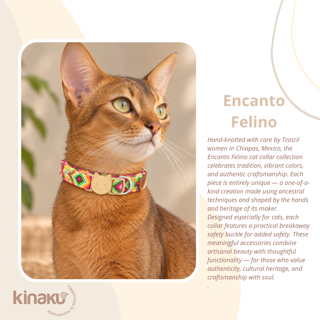 Cat collars ENCANTO FELINO - Image 5